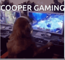 Dog Gaming GIF - Dog Gaming Cooper GIFs