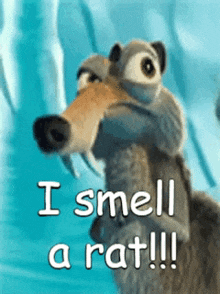 Smell Rat GIF - Smell Rat I GIFs