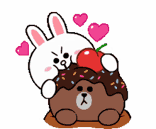brown and cony bear brownbear
