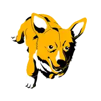 a yellow and black dog is running with its mouth wide open