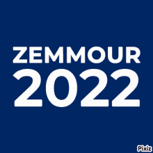 Zemmour 2022 GIF - Zemmour 2022 President GIFs