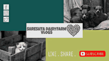 Shreshta Dairyfarm Shreshta Dairyfarm Vlogls GIF - Shreshta Dairyfarm Shreshta Dairyfarm Vlogls Shreshta Dairyfarm Thimmapur GIFs
