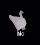a white duck is standing in front of a black background with the word no written on it .