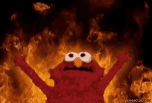 Hell Elmo GIF - Hell Elmo Fire GIFs
