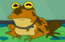 Frog Hypnotized GIF - Frog Hypnotized Futurama GIFs