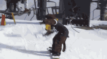 Snowboard Ralphie GIF - Snow Slip Skate GIFs