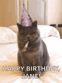 Happy Birthday Cat GIF - Happy Birthday Cat Jane GIFs