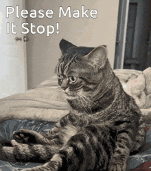 a cat is laying on a bed with the words please make it stop written above it