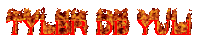 the word tyler is written in red with flames coming out of it