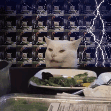 smudge smudge cat smudge lightning