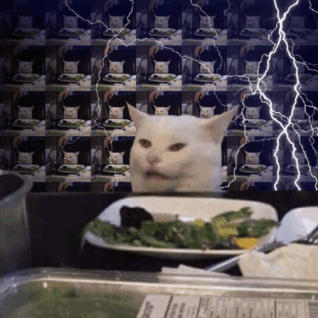 Smudge Smudge Cat GIF - Smudge Smudge Cat Smudge Lightning - Discover &  Share GIFs