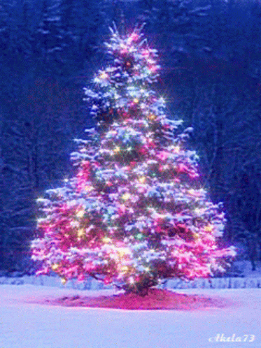 Merry Christmas Christmas Tree GIF - Merry Christmas Christmas Tree Holidays GIFs