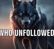 Who Unfollowed GIF