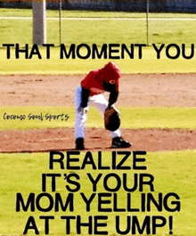 Baseball Mom Ump GIF - Baseball Mom Ump GIFs