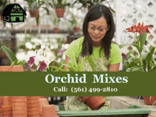 orchid orchid mixes