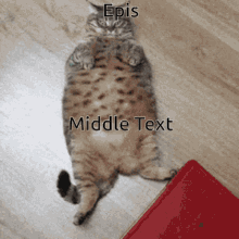 text middle