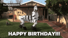 Dancing Zebra.Gif GIF - Dancing Zebra Anim-birthday Dance GIFs
