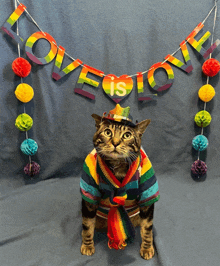 a cat is sitting in front of a love is love sign