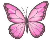 a pink butterfly with brown spots on its wings is on a white background