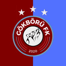 a logo for a soccer team called gokboru fk