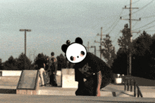 a panda bear is standing on a skate park