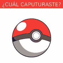 Cuál Pokemon Capturaste GIF - Que Numero Te Toco Cual Pokemon Capturaste Pokemon GIFs