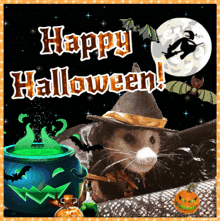 Halloween Opossum GIF - Halloween Opossum Possum GIFs