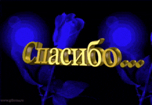 a blue rose is surrounded by the word спасибо in gold