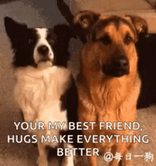 Hug Love GIF - Hug Love Dog GIFs