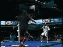 Ring Wrestling GIF - Ring Wrestling Mix Martial Arts GIFs