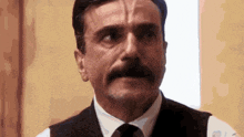 a man with a beard and mustache is wearing a vest and tie