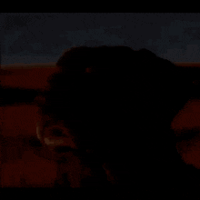 a close up of a dog 's face in a desert