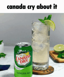 Canada Dry Canada Cry About It GIF