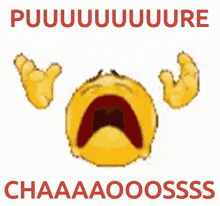 a picture of a pile of poop with the words puuuuuuuuure chaaaaoossss on it