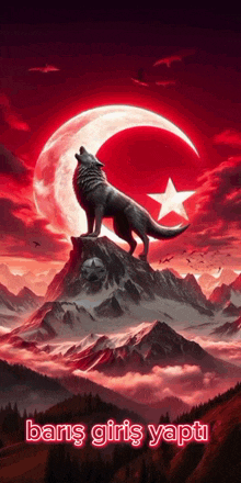 a wolf is howling in front of a crescent moon and a star