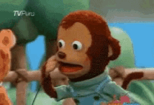 Surprised Monkey GIF - Surprised Monkey What GIFs