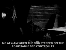 wake up nosferatu arise bed control dog