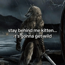 a picture of a werewolf with the words stay behind me kitten ... it 's gonna get wild