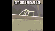 stickbugged lol2020