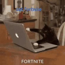 Cat Fortnite Game Fortnite For Cat GIF - Cat Fortnite Game Fortnite For Cat GIFs