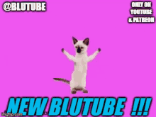 Blu Blutube GIF - Blu Blutube Patreon GIFs
