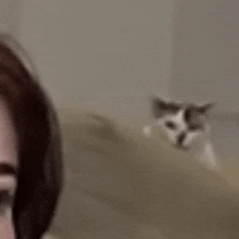 a close up of a person 's face with a cat looking at them .