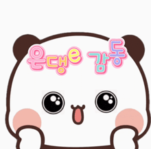 a cartoon panda bear with chinese writing on it