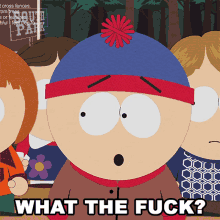 What The Fuck Stan Marsh GIF - What The Fuck Stan Marsh South Park GIFs