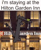 Hilton Hilton Garden Inn GIF - Hilton Hilton Garden Inn Hilton Hotel GIFs