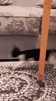 Fight Cats GIF - Fight Cats GIFs