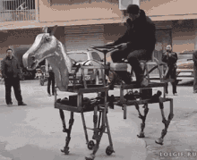 Unique Horse GIF - Unique Horse Riding GIFs