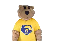 a brown teddy bear wearing a yellow shirt with a blue bear on it