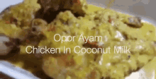 opor ayam chicken in coconut milk served dihidangkan hidangan