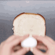 toast egg